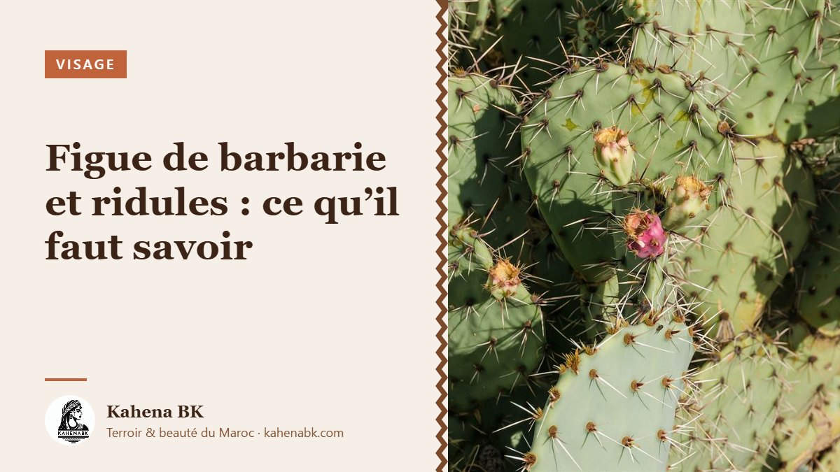 Huile de figue de barbarie et ridules : ce qu’il faut savoir